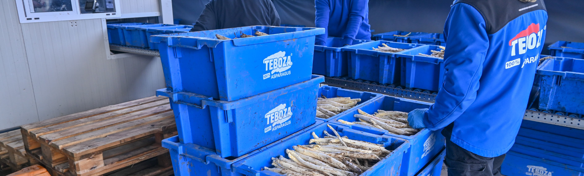 8.000 neue Drehstapelbehälter für Teboza