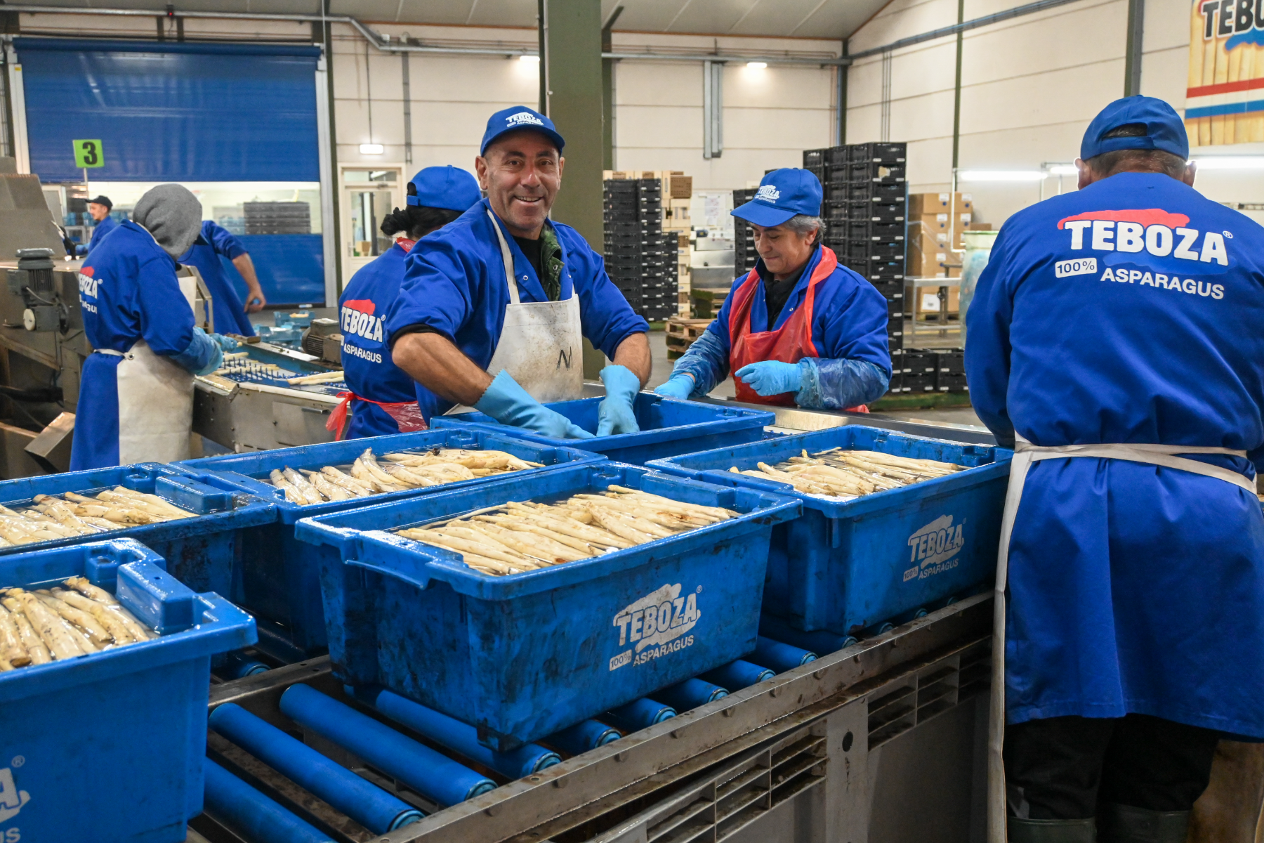 Spargel verpacken